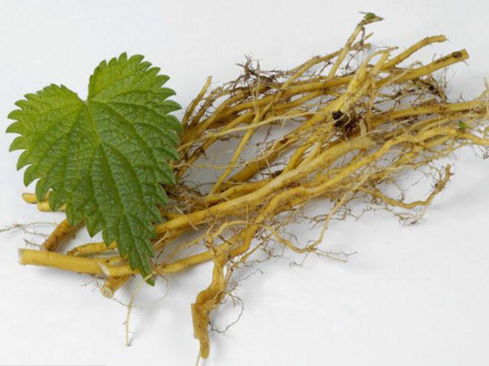 Nettle Root Dietoll-en