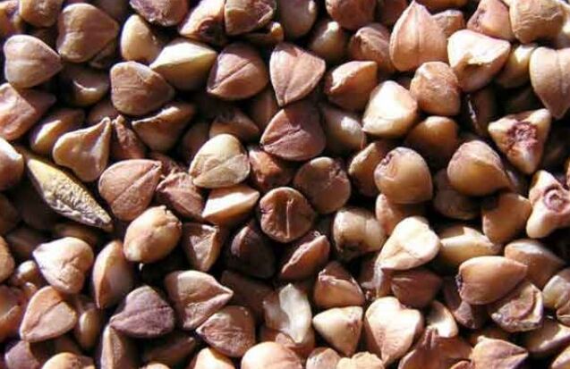 Buckwheat nukleoa