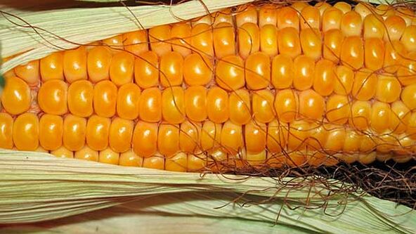 Zer ez jan keto dietan