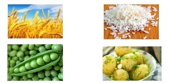 Proteina eta zuntza handitzea dietan