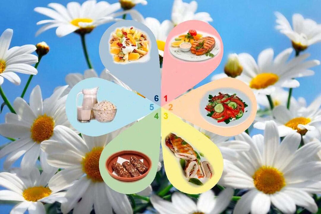 sei petaloen dieta eta dieta gogokoena